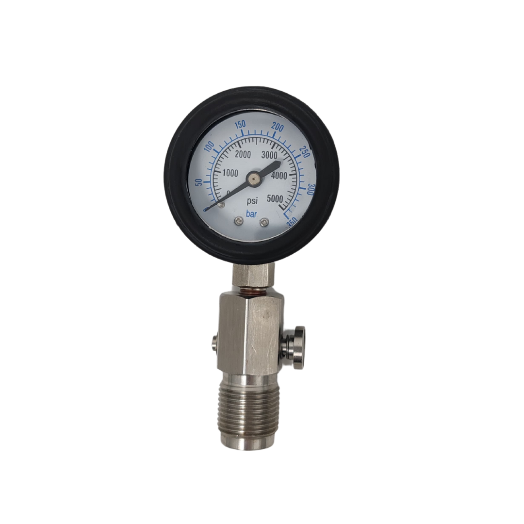 Pressure Test Gauge
