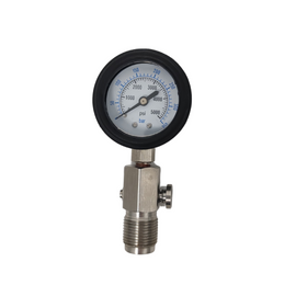 Pressure Test Gauge